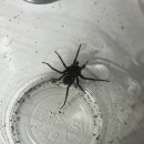 GS25서구빌리지점 이미지
