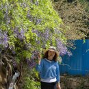 빛누리유치원 이미지