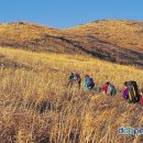 2007년 4월1일(일), 3일(화), 7일(토)요일 경남 울산시 신불산 영축산 통도사 이미지