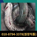 교동건강원
