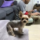 티움동물병원 이미지