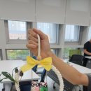 부엉이 도어벨 이미지