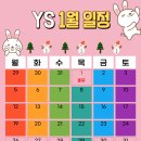 YS 스윔키즈 이미지