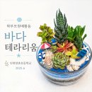 인천양촌초등학교 | 인천원예체험 여름 원예활동 / 바다테라리움 만들기 인천양촌초등학교 학부모 참여수업