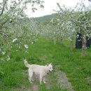 무진농장 이미지