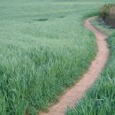 삼주1공인중개사사무소 이미지