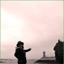 바다엔소나무 이미지