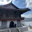 카페보리 이미지