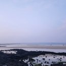 함덕 친척집 이미지