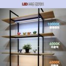 H1590 이미지