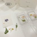 제로플라스틱 천연비누&천연화장품 | 기업출강 프로그램 안내 | 단체수업 가능한 천연비누·화장품·입욕제·제로웨이스트 워크샵