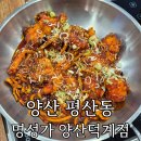 양산 아구불고기 맛집 '명성가 양산덕계점' 불향 가득한 별미 솔직 후기