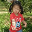 옥성농장 이미지