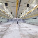 화성양계장 이미지