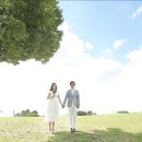 더그레이스튜디오