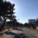 용연만남의광장점 이미지