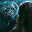 라임고양이 이미지