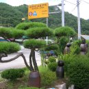 주천면사무소 이미지