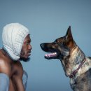 성남아트센터 이미지