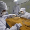 주밤농장 이미지