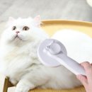 슬리커 - 서산시 남원1길 46 | 슬리커