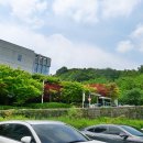 용인시청 제1별관 이미지