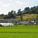 안산 중고차리스,