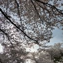 도원고등학교앞 이미지