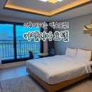이마트24 엑스포정문점 | 여수숙소 여수엑스포역 가까운 가성비 호텔 추천 - 카멜리아 호텔 (엑스포뷰 후기)