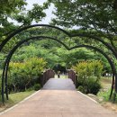 도음산 산림문화수련장 이미지