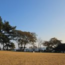 대천예쁜펜션 애견동반예쁜댕 | 애견동반여행 태안 바다가쓴시 펜션 2F 시에나 / 대천해수욕장