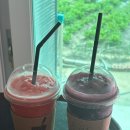 협곡구비마을 | 분천산타마을 백두대간협곡열차 근처 카페 분천커피방앗간 내돈내산 후기