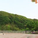 소양강수목원 이미지
