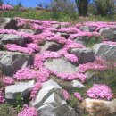 농촌전통테마마을회관 이미지