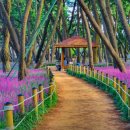 송림쉼터 이미지