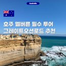 호주 멜버른 여행 필수코스 혼자 그레이트오션로드 투어 내돈내산 투어 추천