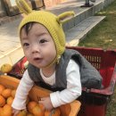 강정동-12 이미지