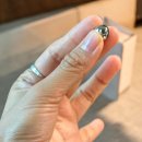 자연가습 이끼 테라리엄 이미지