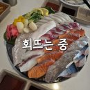 행복횟집 | [회 뜨는 중] 인천 논현 가성비횟집 내돈내산, 9,900원의 행복 솔직후기