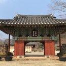 보림사 - 1223 | 보림사