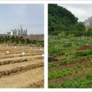 국제2농장 이미지