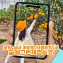 꿈을주는 어린이집 | 담양 실내 아이랑 가볼만한 곳, 체험까지 가능한 꿈에그린체험농장 후기