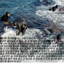 (주)여덟끼니 이미지