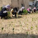 희망의 꽃밭에서 이미지