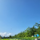 파크골프에 빠진 한국… 대회만 500개, 대학에 학과까지 이미지