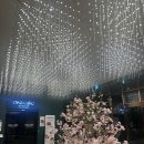 더블트리 바이 힐튼 서울 판교 레지던스 | 서울근교 판교 더블트리 바이 힐튼호텔 레지던스 스위트룸 조식 후기