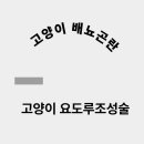 링크늘푸른동물병원 이미지