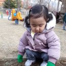 셀라어린이집 이미지