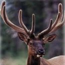 닥터정한의원 이미지