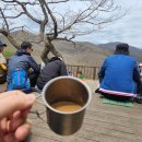 맥심화원 이미지